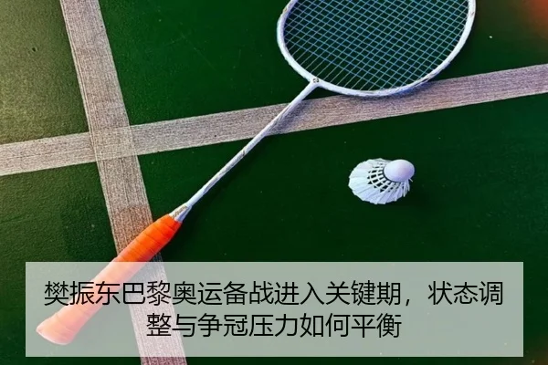 樊振东巴黎奥运备战进入关键期，状态调整与争冠压力如何平衡